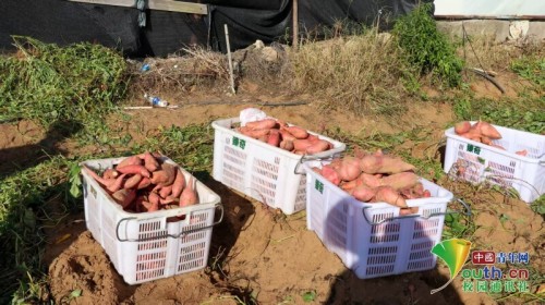 图片 9.jpg 图片 9.jpg