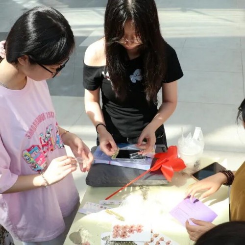 图片 5.jpg 图片 5.jpg